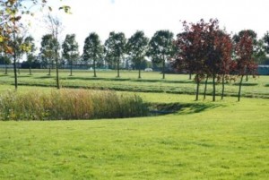 strooiveld